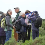 a group pf people birdwatching
